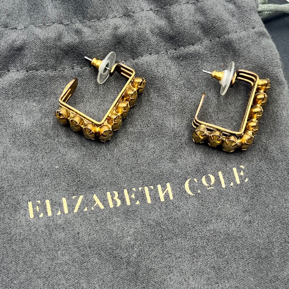 Elizabeth Cole Eurie Crystal C Hoop Gold Plated Metallic Half Hoop
Earrings